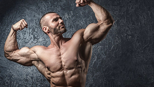 THE COMPLETE GUIDE TO BULKING AND CUTTING