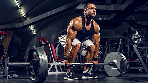 Repetition Maximum for Weight Training