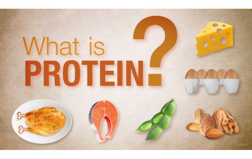 What Is Protein? How Much You Need, Benefits, Sources, More