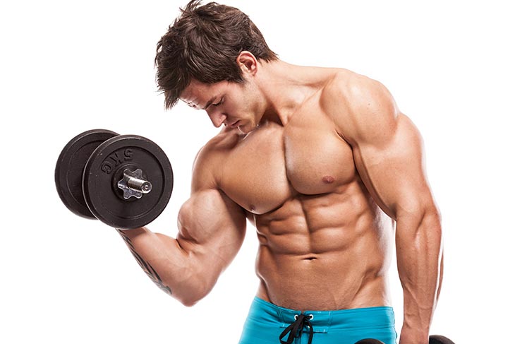 WHAT MUSCLE GROUPS TO WORKOUT TOGETHER?