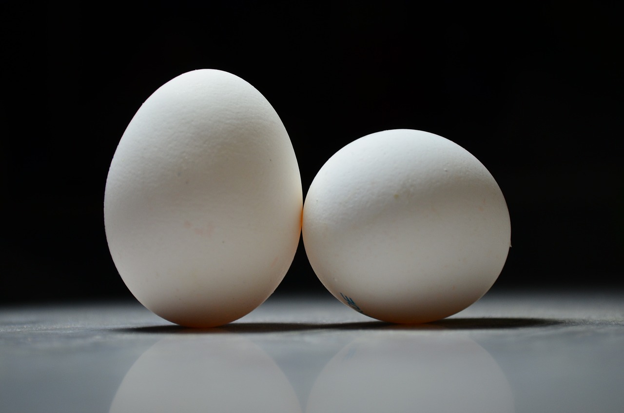 What happens to your body when you start eating 2 eggs every day