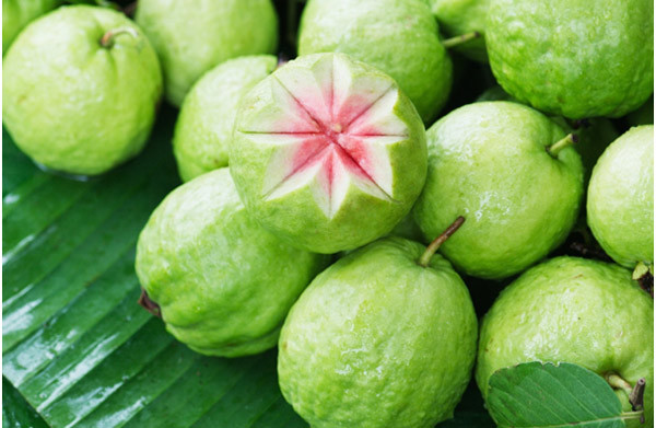 TOP 10 HEALTH BENEFITS OF GUAVA FRUIT