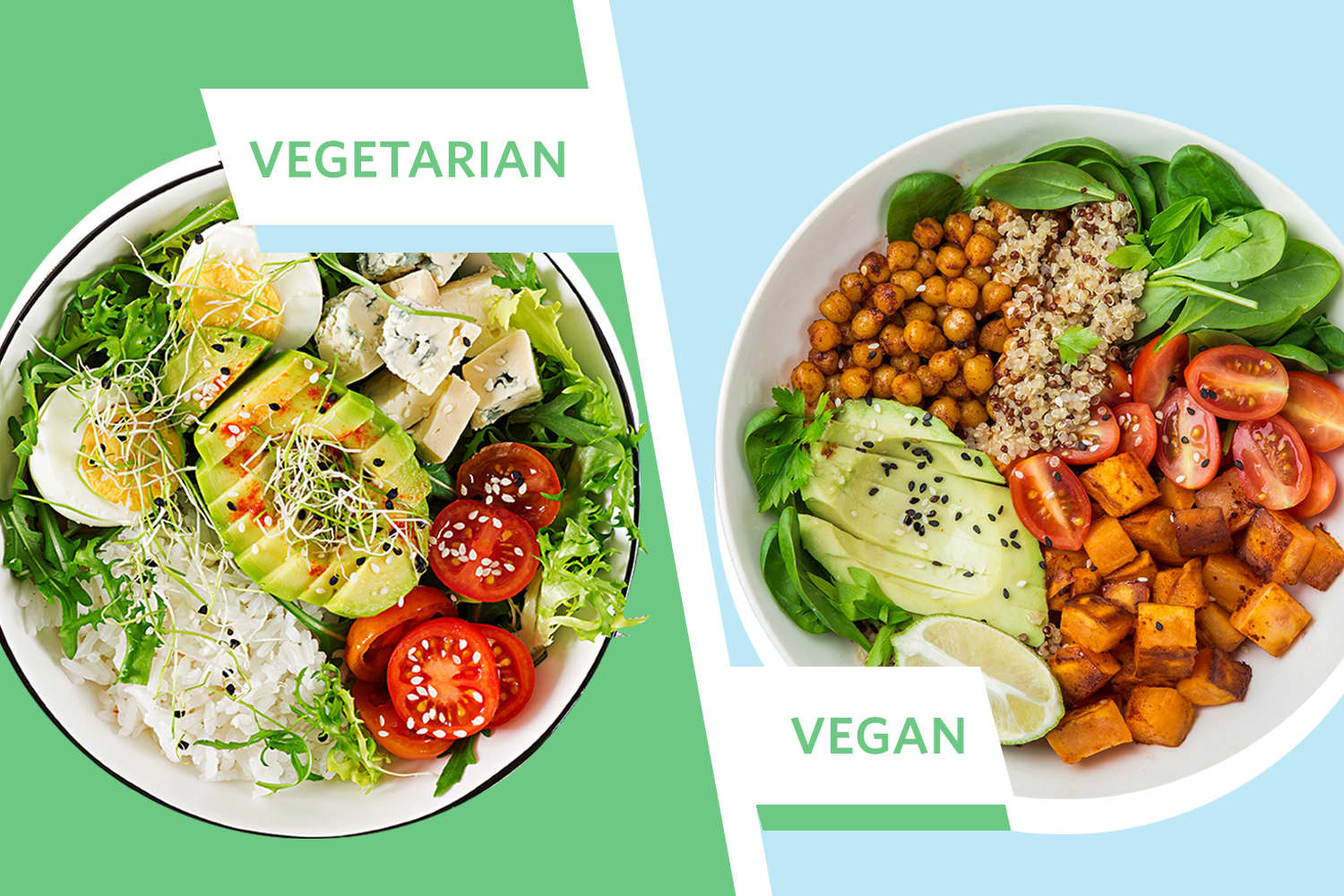 What is the Difference Between Vegan and Vegetarian?