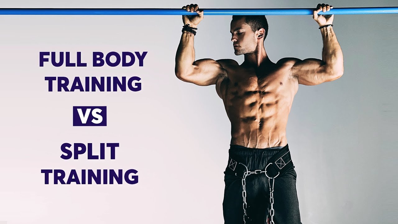 Which is better: body part split vs. Full-body workout?