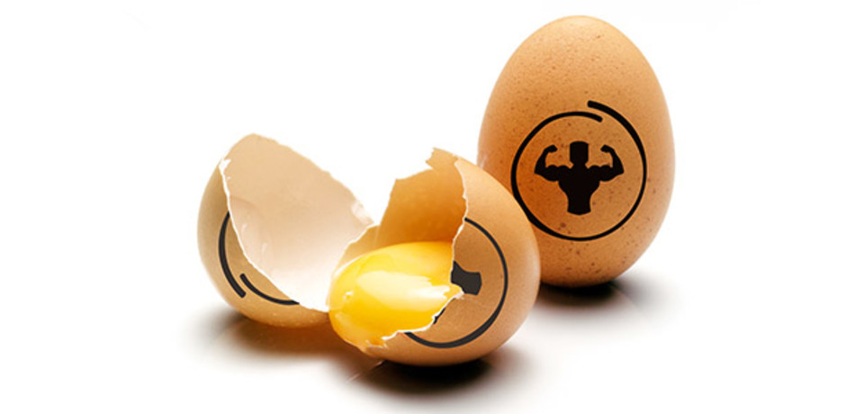 Eggs: a critical component of a bodybuilding diet