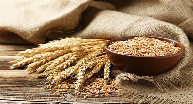 7 Reasons Why Whole Wheat Is So Good For You!