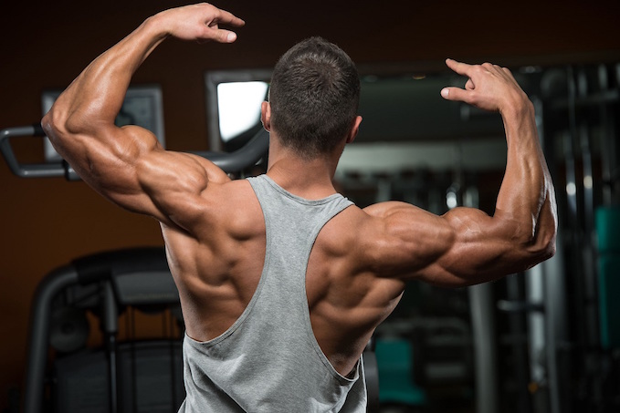 Muscular Hypertrophy and Your Workout
