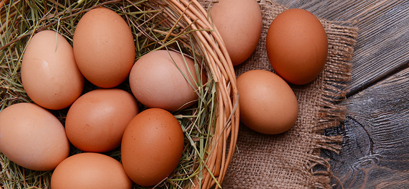 A NUTRITION EXPERT TELLS YOU ALL ABOUT EGGS & FITNESS