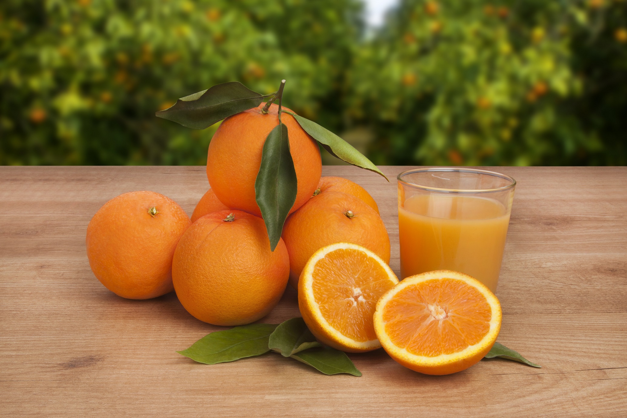 Orange: The Golden Fruit for Good Health