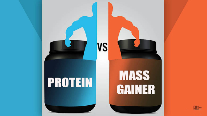 Which Should I Choose: Mass Gainer or Whey Protein?