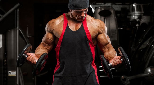 Fine-tune your biceps in 4 weeks