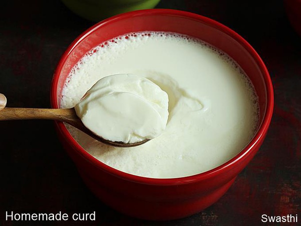 Health benefits of curd: 10 reasons you must include curd in your daily diet